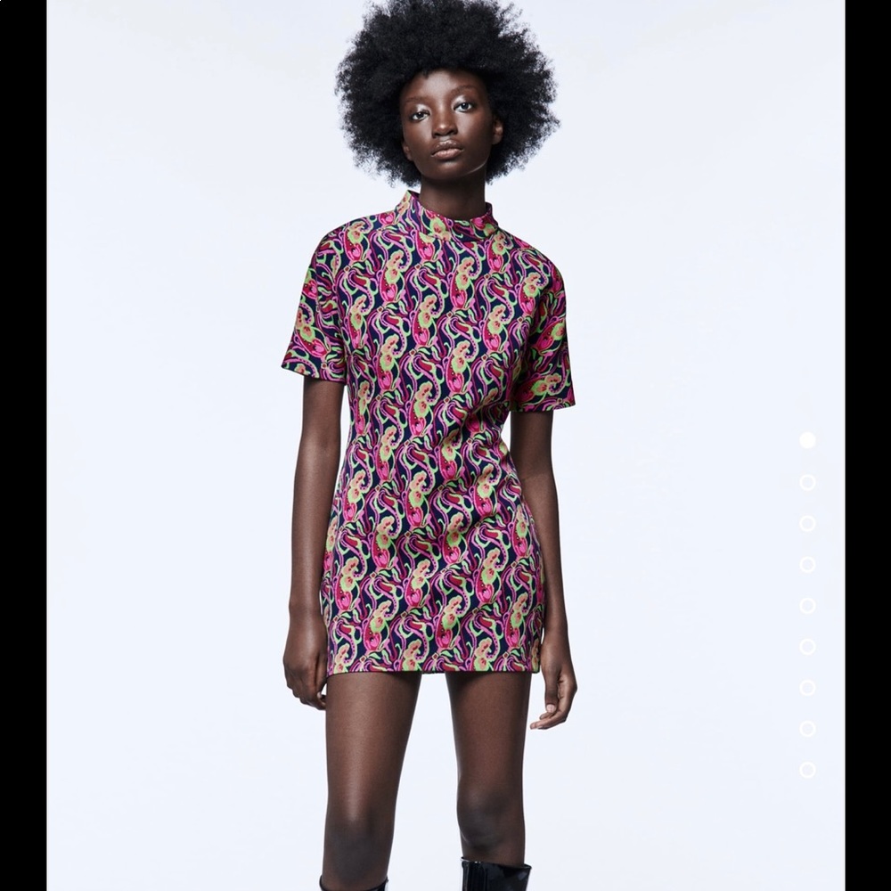 Zara dress